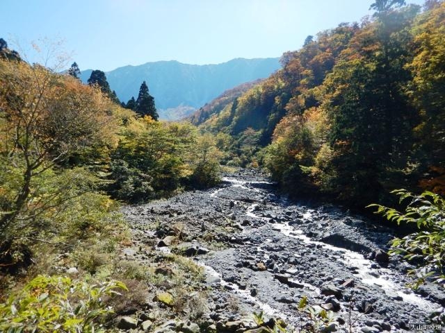 ����͌�_�΂̉͌�