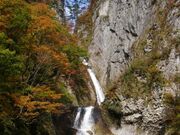 �����̑�̎ʐ^1