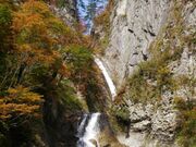 �����̑�̎ʐ^2