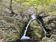 ��䃖��̎ʐ^2