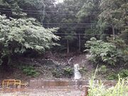 �G�r����̑�̎ʐ^1