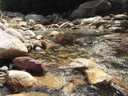 ���P��k�J�̎ʐ^1