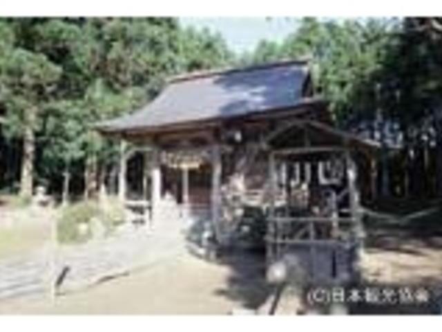 �����{�̎ʐ^1