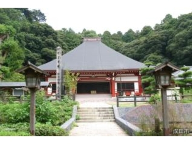 �厜�����̎ʐ^1