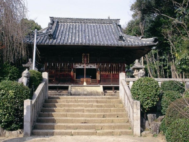 �y�C�����{�̎ʐ^1