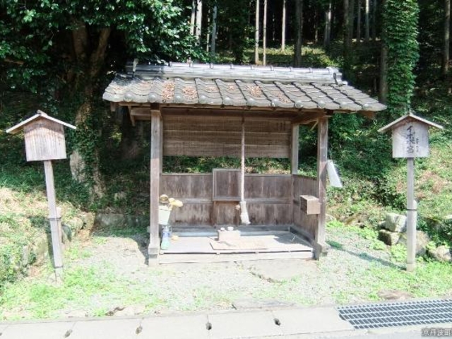 �C�{���{�i�C�{������j�̎ʐ^1