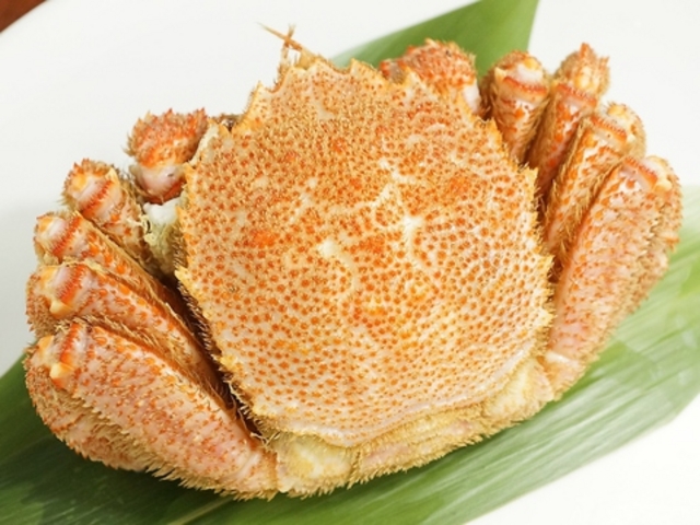 ���l���s�� ���l�����X�̎ʐ^1