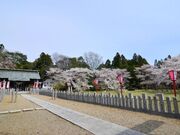 ���n�_�Ђ̎ʐ^2