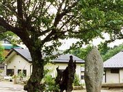 ���_���̎ʐ^1