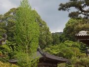 ���іV�̎ʐ^2