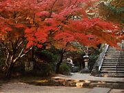 ����s�����i�������j�̎ʐ^1