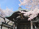 正法寺（京都府八幡市）の写真3
