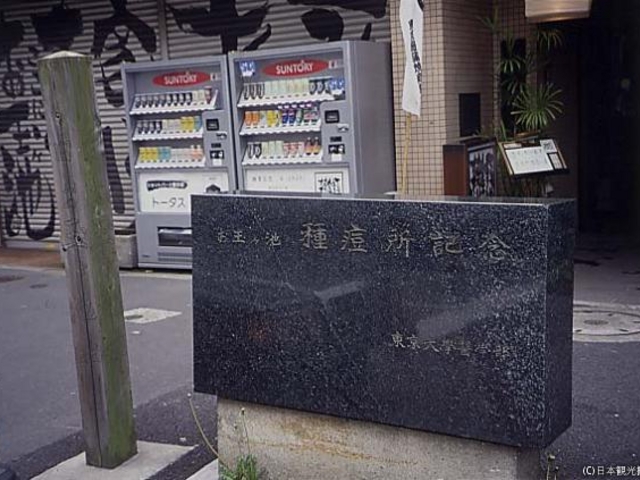 ���ʃP�r��_���ʃP�r��