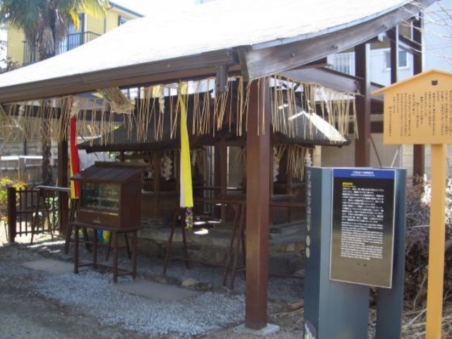 �F���\���ÐՁu���P�v_��������F���\���u���P�v