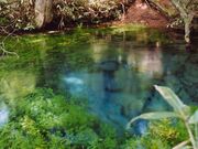 ���򐴐��̎ʐ^1