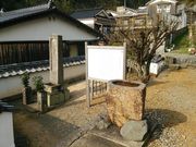 �C���~��̎ʐ^2