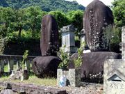 ���x�h���v�ȕ�n�̎ʐ^1