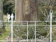 ���C�X�E�f�E�A�����C�_�C�A�_���r��̔�̎ʐ^1