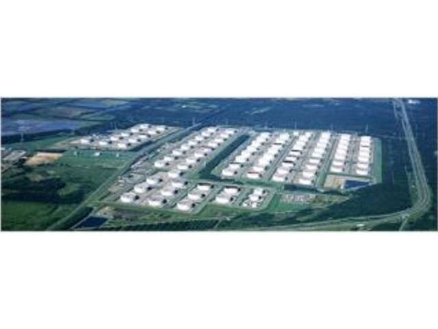 �ϓ��Ζ����~�i���j�̎ʐ^1