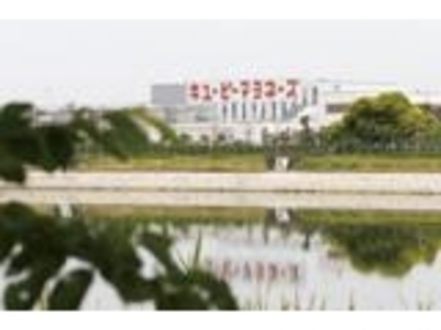 �L���[�s�[ �܉��H��