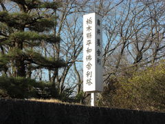 ���a���i���ɗ����j�̎ʐ^1