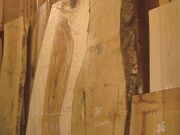 �g�쐙�H�[�i��㑺�؍H�Z���^�[�j�̎ʐ^3