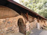 �~�쐸�����i�~�R�q�j�̎ʐ^1