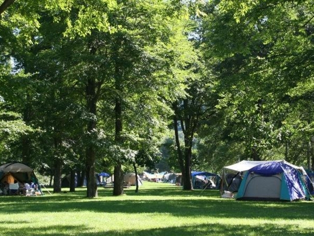 �ÎR�L�����v���̎ʐ^1