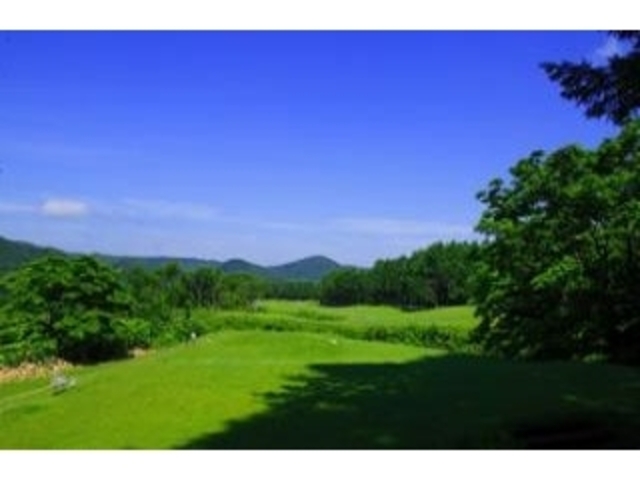 �т�̕��S���t��y���̎ʐ^1