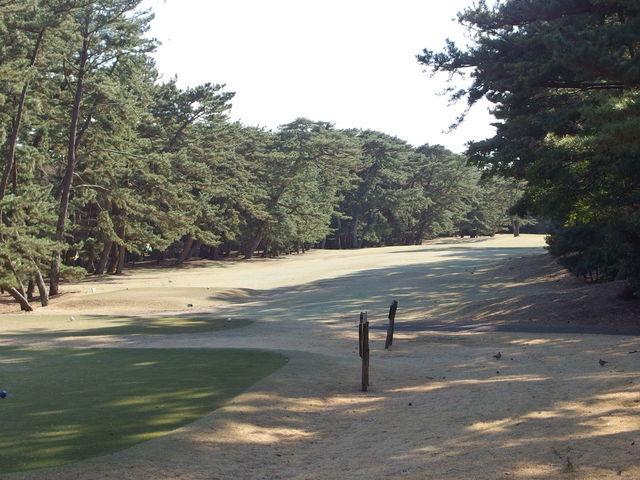 ���S���t��y��