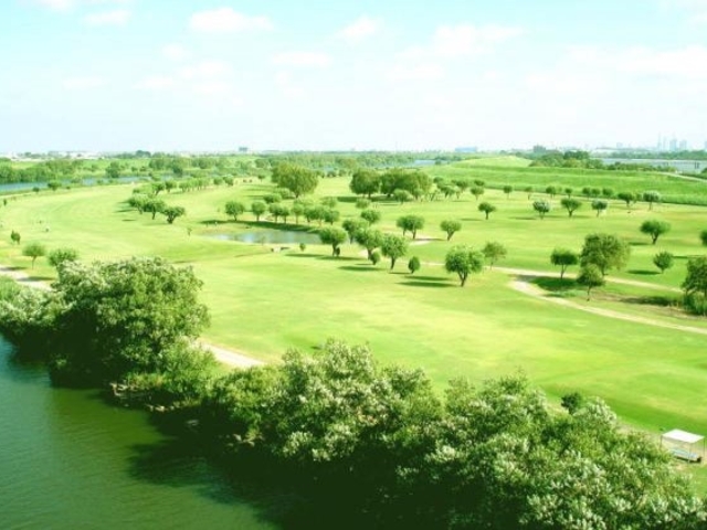 �˓c�p�u���b�N�S���t�R�[�X�̎ʐ^1