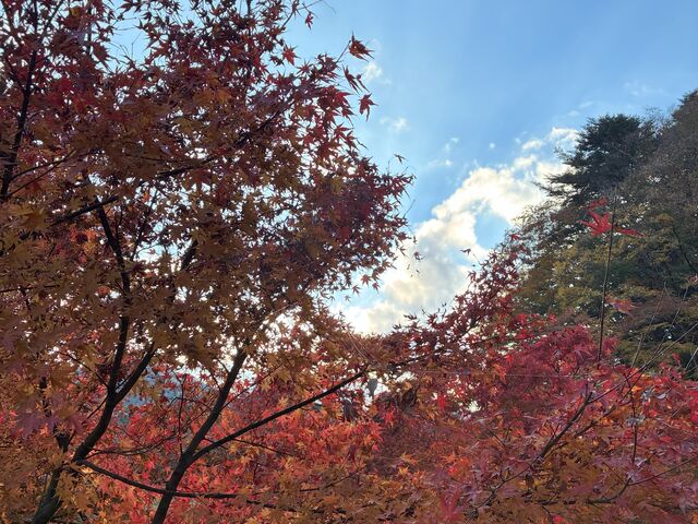 �|�������̎ʐ^1