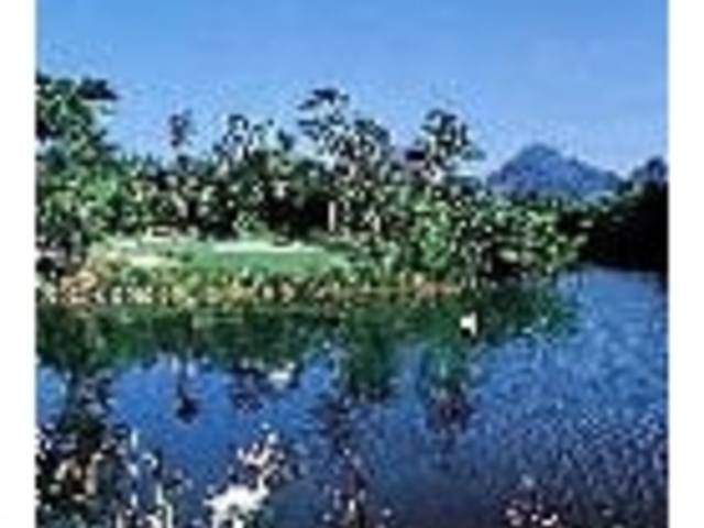 �犠�J���c���[��y���̎ʐ^1