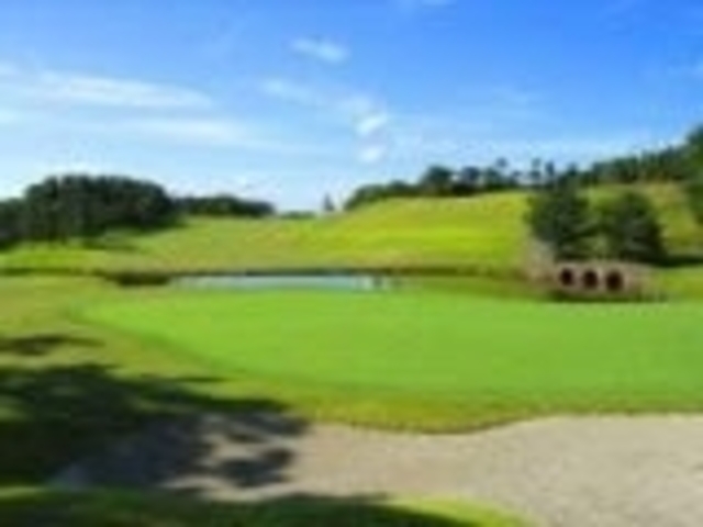 �R�z�S���t��y���̎ʐ^1