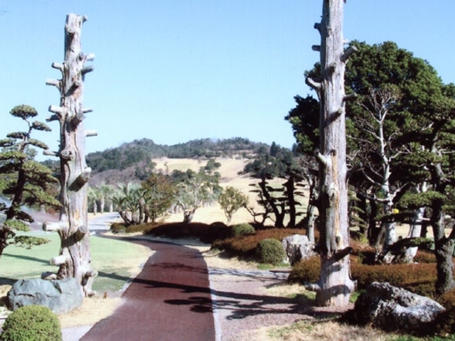 �p�V�t�B�b�N�S���t�N���u�̎ʐ^1