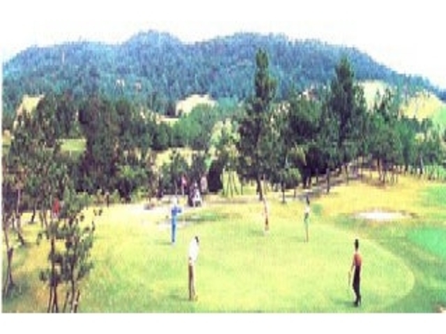 �L���J���g���[�N���u�喴�c�S���t��̎ʐ^1