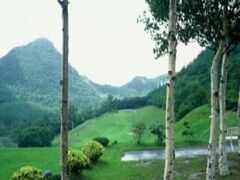 �D�y�������S���t��̎ʐ^1