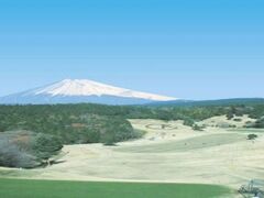 ��M�C���ۃS���t�N���u�̎ʐ^1