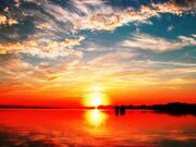 ���쌴�ΔȃL�����v��̎ʐ^2