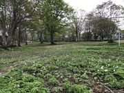 ���L�����v��̎ʐ^1