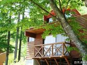 �Ȃ���������R�����L�����v��̎ʐ^2