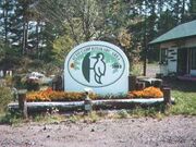 �I�[�g�L�����v��������̎ʐ^1