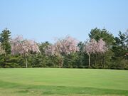 �����J���g���[��y���̎ʐ^4