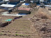 �|�������̎ʐ^2