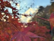 �|�������̎ʐ^3