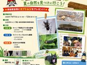 �R�V���L�����v��̎ʐ^3
