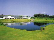 �M���c�r�C�S���t�N���u�̎ʐ^1