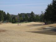 ���p�u���b�N�S���t��̎ʐ^1