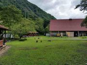 �V������L�����v��̎ʐ^4