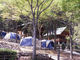 語らいの森　求菩提キャンプ場の写真1